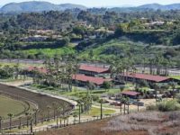 有钱人，真的是有钱人