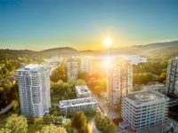 开盘|预警 一个家庭，一条狗，一片海滩，一栋楼