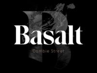 新盘 | 从阳台俯瞰女皇公园的最后机会