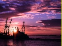 你问我答 | 考虑列治文学区房，伦敦中学怎么样？学区入门级独立屋什么价位？