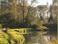 独家 | 独立屋均价仅$70+万，上月枫树岭成交社区排行榜揭秘