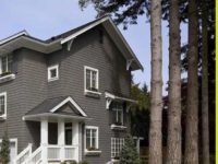 投票通过!这个社区即将迎来天车站,仅$60+万即可入住沿线联排别墅