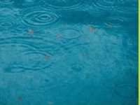 你问我答 | 温哥华秋冬雨季将至,阴雨天看房需要重点注意哪些地方?