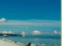 独家 | 整体市场趋于平静，买家市场趋势明显，上月西温独立屋成交排行榜揭秘