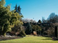 你问我答 | 想投资温西Cambie走廊楼花，有没可能跌到$1,000/尺？