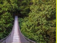 独家 | 传统西人区成交活跃竟超列治文?上月北温社区独立屋成交排行榜揭秘