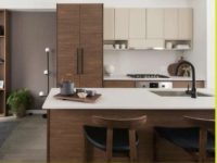 尺价低至$600+，入住2000尺大户型联排，还带独立出入可租单位！