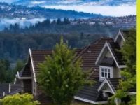 权威预测：房价还将逆势上涨近6%！今年成交量下滑两成，明年将大幅反弹